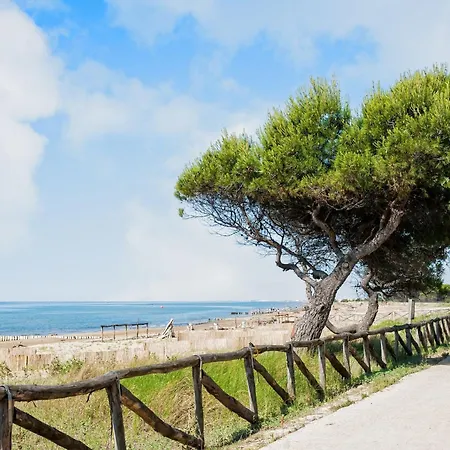 With Garden And Bbq ヴィラ *